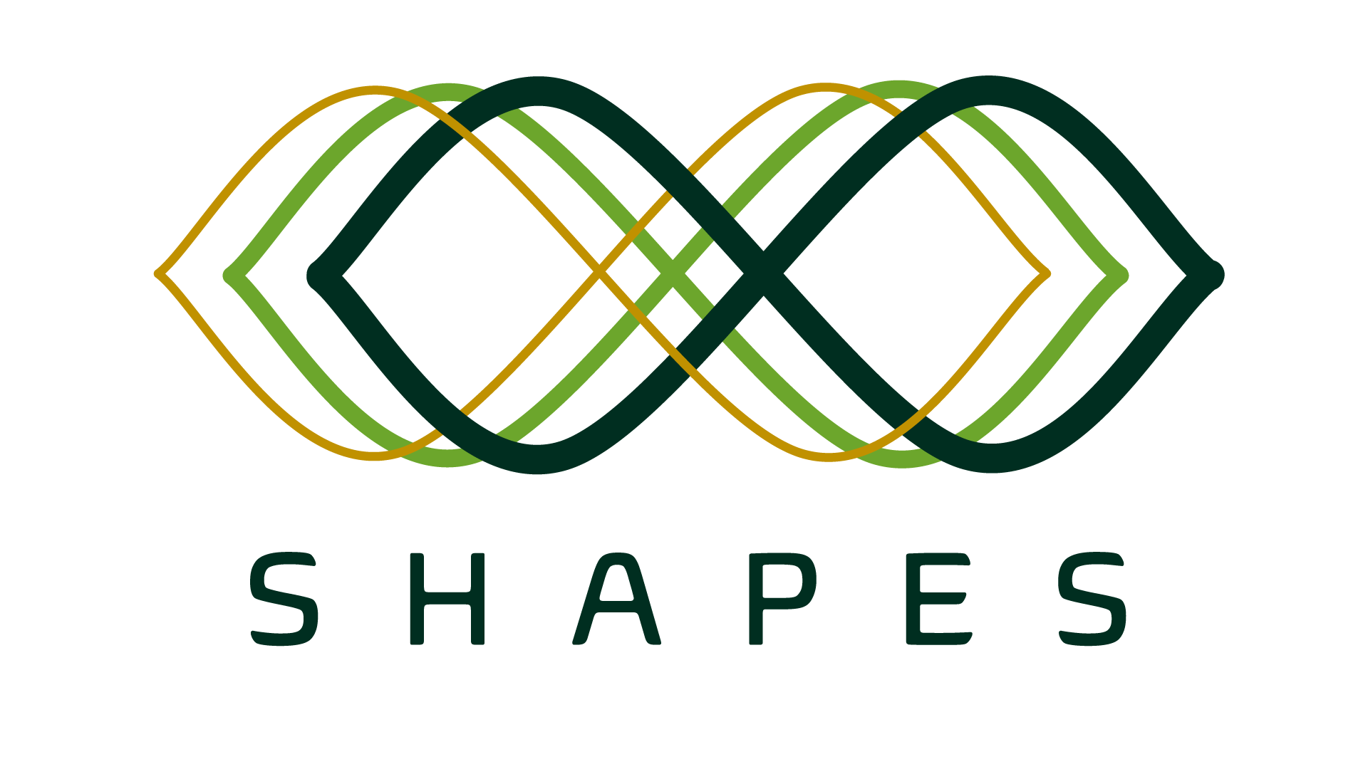 Logo Project Shapes